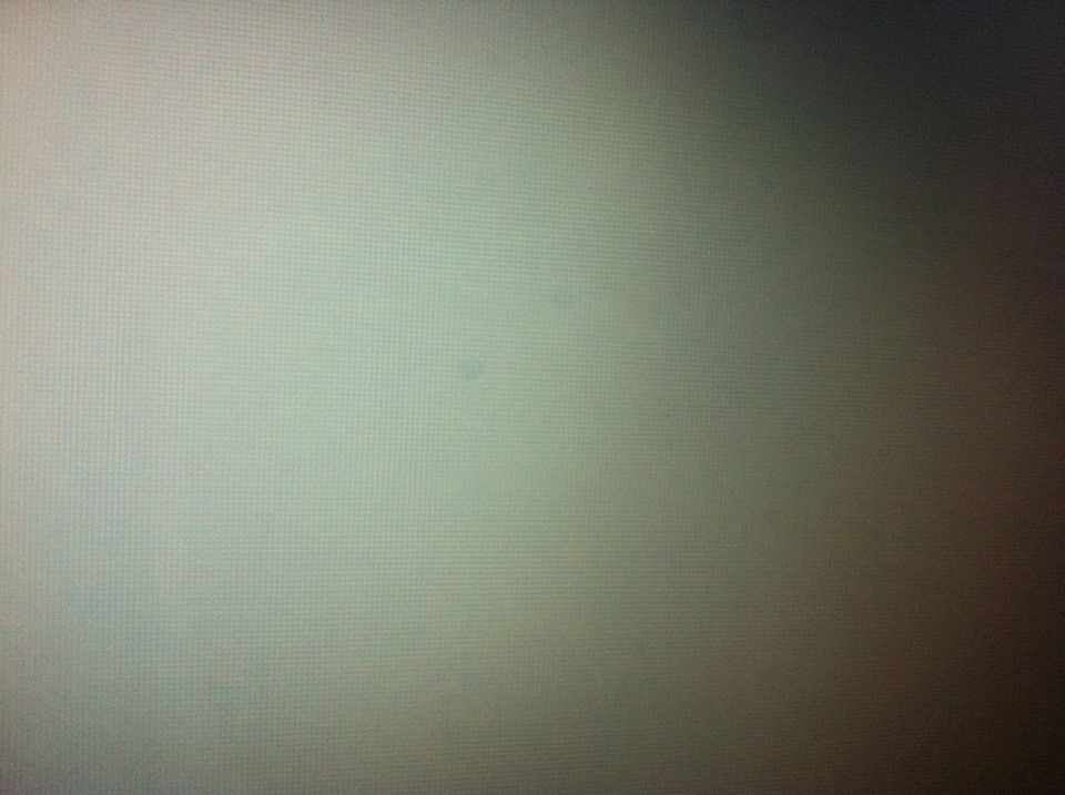 1050.Screen_bugs!.jpg