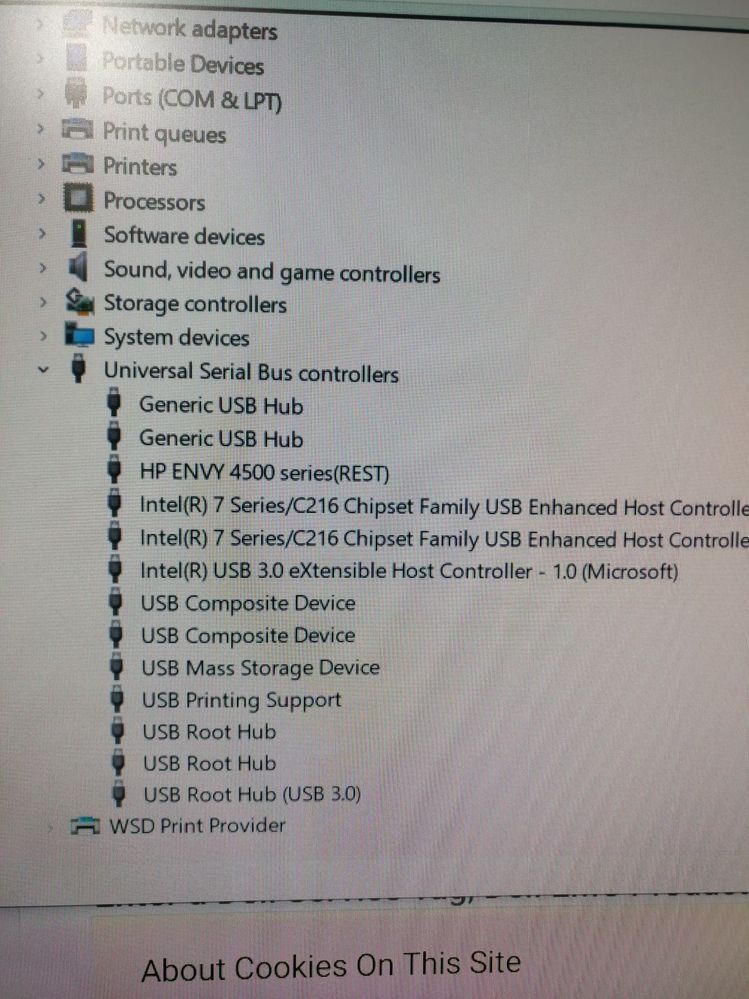 dell device manager.jpg