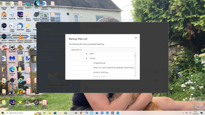 Backed up files