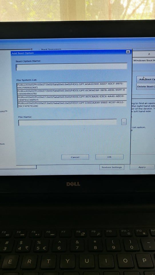 When I click add boot option this is what appears in my Bios. I've identified that the Windows Boot Manager runs the first option.