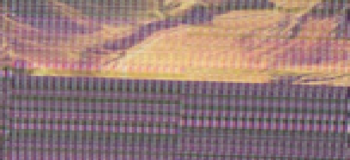 DELL1.png