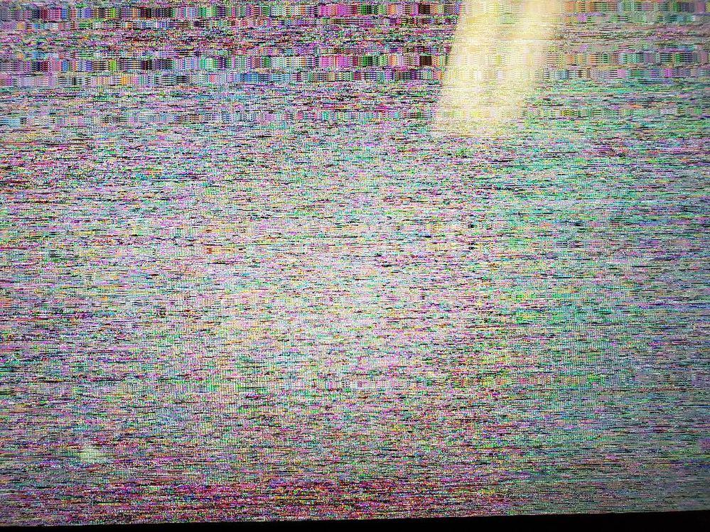 Dell Screen Issue Pic.jpg