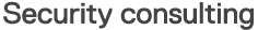 Security consulting