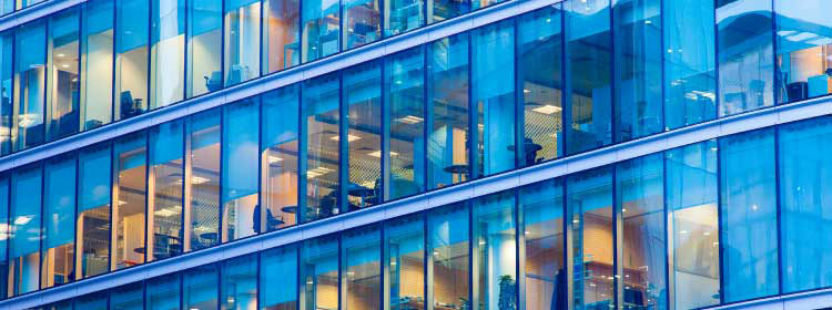 Explore State & Local Government