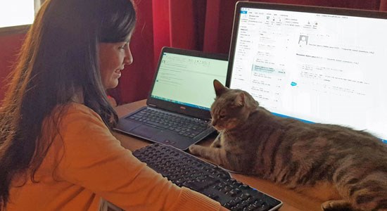  Dell Panama employee Cristina Pereira works while her cat sits between the keyboard and monitor on her desk
