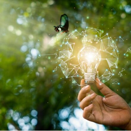 Hand holding a light bulb against a forest background as a butterfly hovers above.