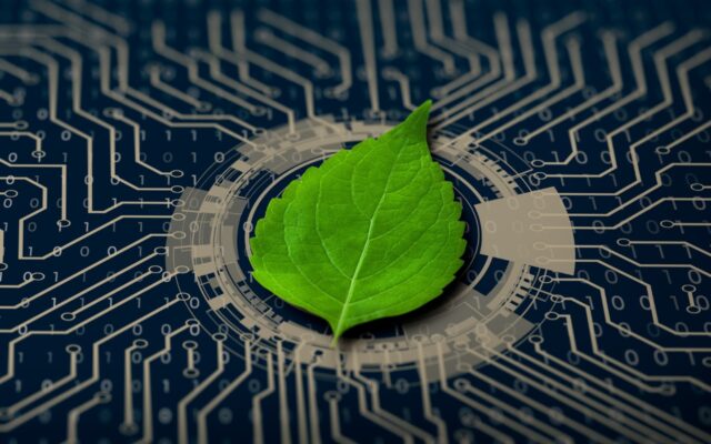 Green leaf at the center of a circuit board, representative of green or sustainable computing technology.