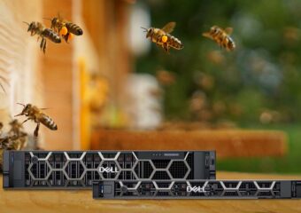 Bees flying in an open environment behind two Dell PowerEdge servers.