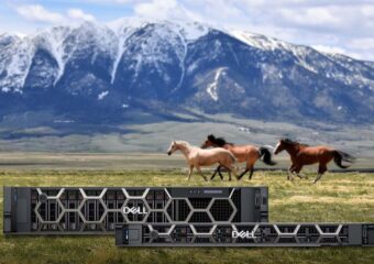 Horses running free on an open plain with mountains in the background and Dell PowerEdge servers appearing in the foreground.