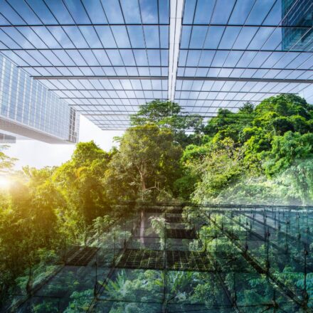 Digitally composited picture of glass office building with green forest overlaid.