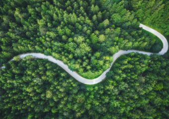 An aerial view of a curving road through a forest, representing a path forward.