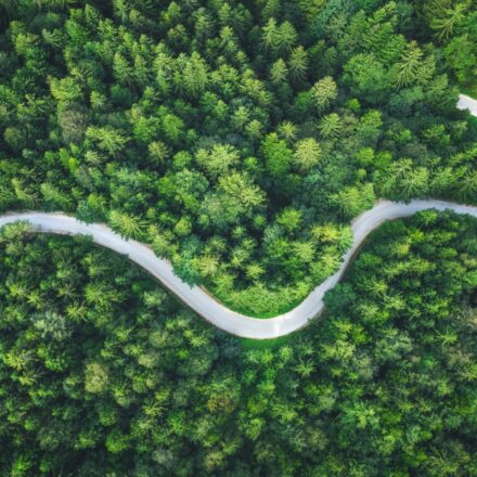 An aerial view of a curving road through a forest, representing a path forward.
