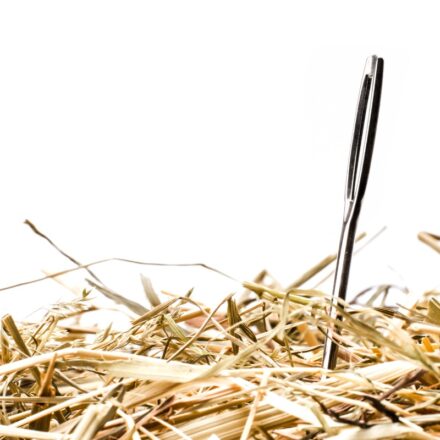 Closeup of a needle in a haystack or pile of hay, against a white background.