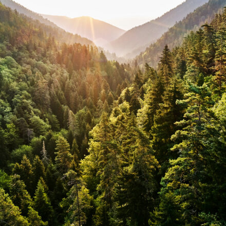 L’impatto sociale, aziendale e ambientale di Dell Technologies