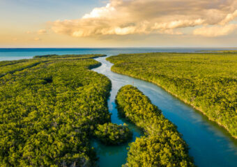 An aerial view of wetlands in the late afternoon or early evening in Everglades National Park in southern Florida.