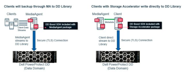 Graphic illustrating how Dell PowerProtect DD storage appliance supports clients' backup processes. 