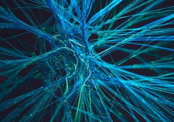 data analytics, data science, neuroscience, mental health, Dell Technologies, Dell Pro Max laptop, NVIDIA, healthcare