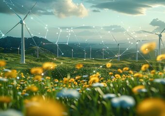 Local AI Energy Research